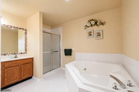 5 Pegasus Place Washington NJ 07840