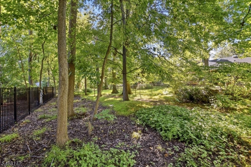 2032 Brookside Drive Scotch Plains NJ 07076
