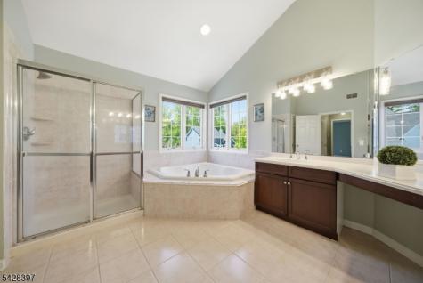 2 David Drive Hanover NJ 07981