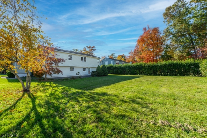 4 Craig Road Springfield NJ 07081