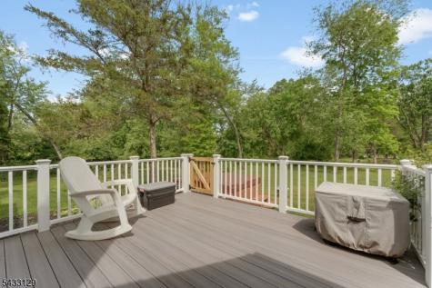 27 Tall Cedar Court Montgomery NJ 08502