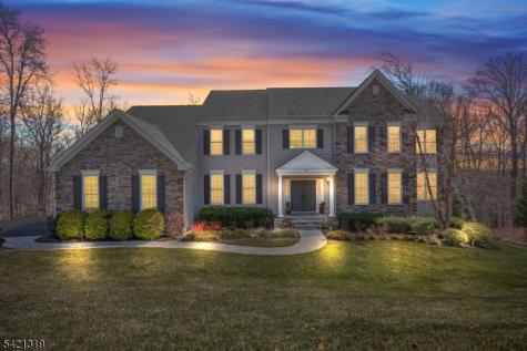 12 Skyline Drive Randolph NJ 07869