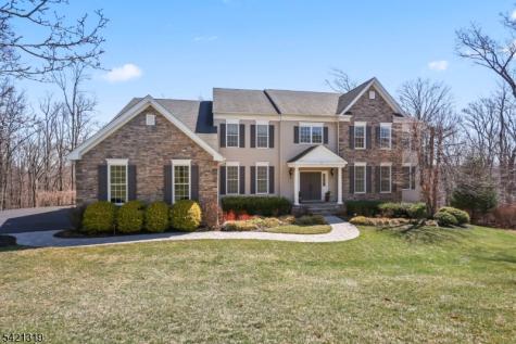 12 Skyline Drive Randolph NJ 07869