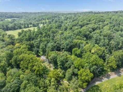 1 Dove Hollow Lane Bethlehem NJ 08827