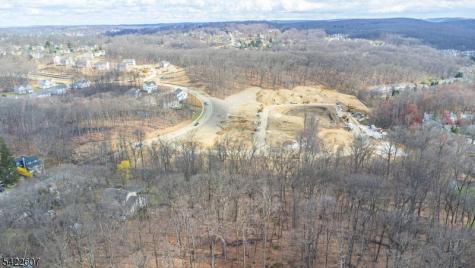 3 Maple Path Mount Arlington NJ 07850
