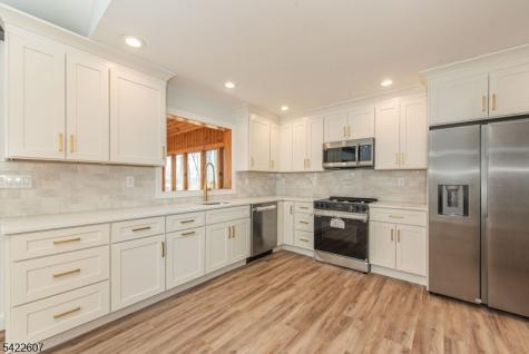 3 Maple Path Mount Arlington NJ 07850