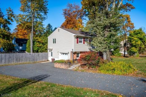 10 Sunset Drive Mount Olive NJ 07828