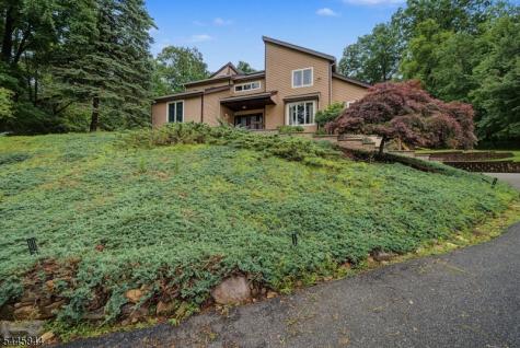 4 Skytop Drive Denville NJ 07834