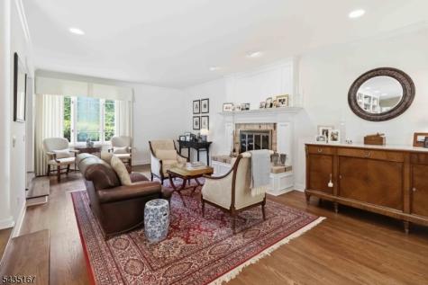 31 Laura Lane Morris NJ 07960