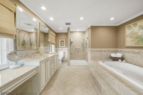13 Flanders Drive Montville NJ 07045