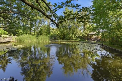 54 Blackberry Lane Morris NJ 07960