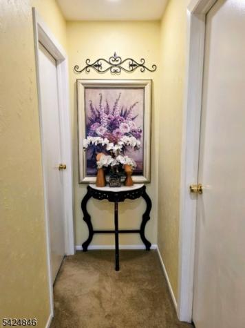258 N Gaston Avenue Somerville NJ 08876