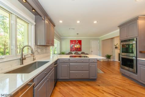 77 Hanover Road Mountain Lakes NJ 07046