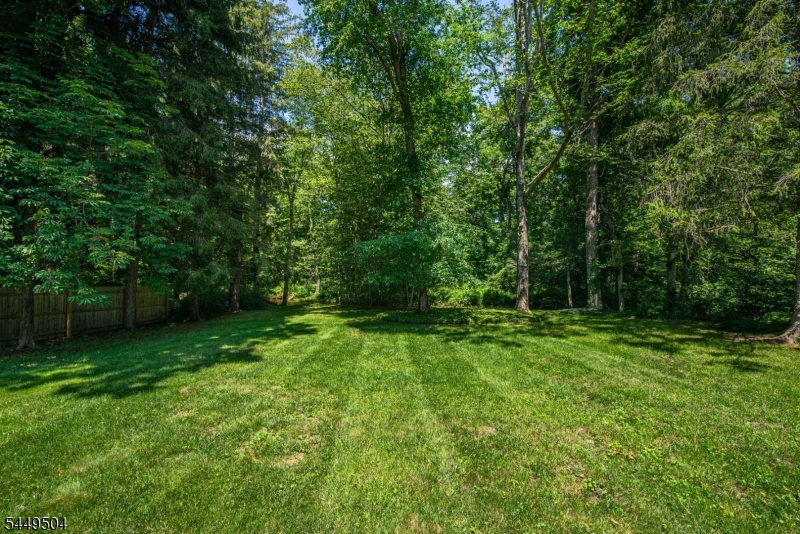 19 Hermanne Drive Mount Olive NJ 07836