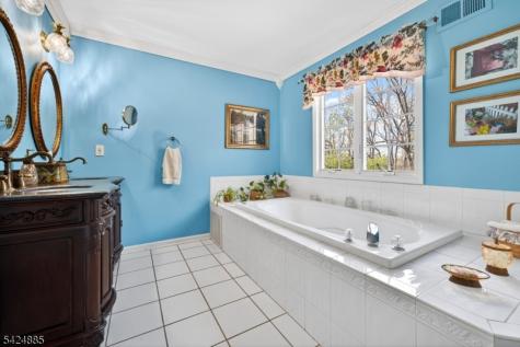 3 Indian Creek Road Alexandria NJ 08867