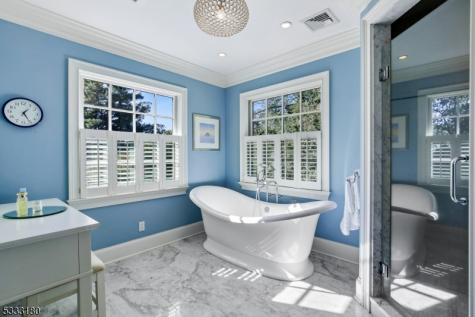 260 Woodland Road Madison NJ 07940