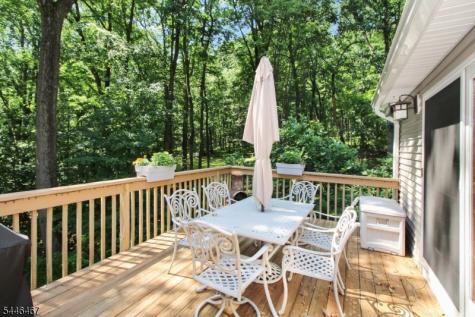 7 Janice Drive Mount Olive NJ 07840