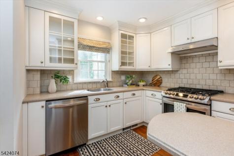 16 Cross Place Glen Ridge Boro NJ 07028