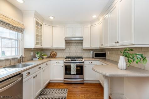 16 Cross Place Glen Ridge Boro NJ 07028