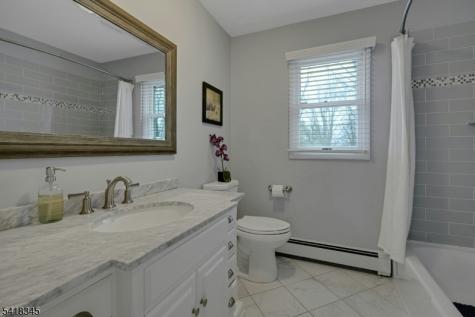 3 Esther Court Chester NJ 07930