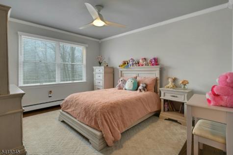 3 Esther Court Chester NJ 07930