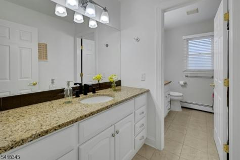 3 Esther Court Chester NJ 07930