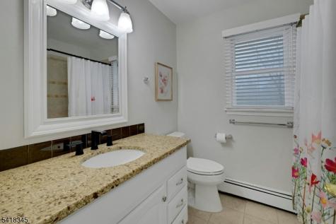 3 Esther Court Chester NJ 07930