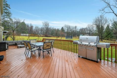 3 Esther Court Chester NJ 07930