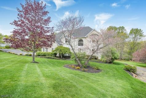 6 Wolfe Run Court Washington NJ 07853
