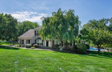 9 Tracey Lane Mount Olive NJ 07828