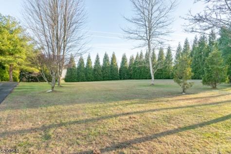 20 Riddle Court Franklin NJ 08802