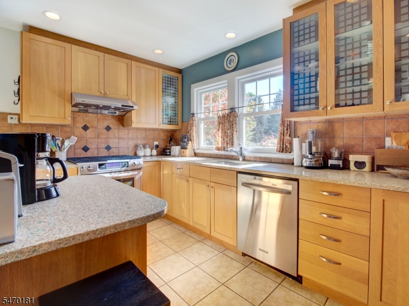 9 Montgomery Avenue Rocky Hill NJ 08553