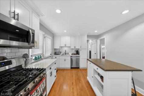 89 Leo Street Edison NJ 08817