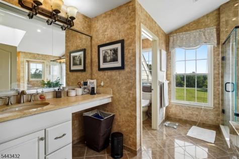 3 Balmoral Drive Alexandria NJ 08867