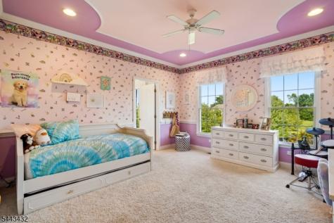 3 Balmoral Drive Alexandria NJ 08867