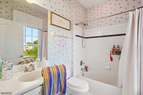 3 Balmoral Drive Alexandria NJ 08867