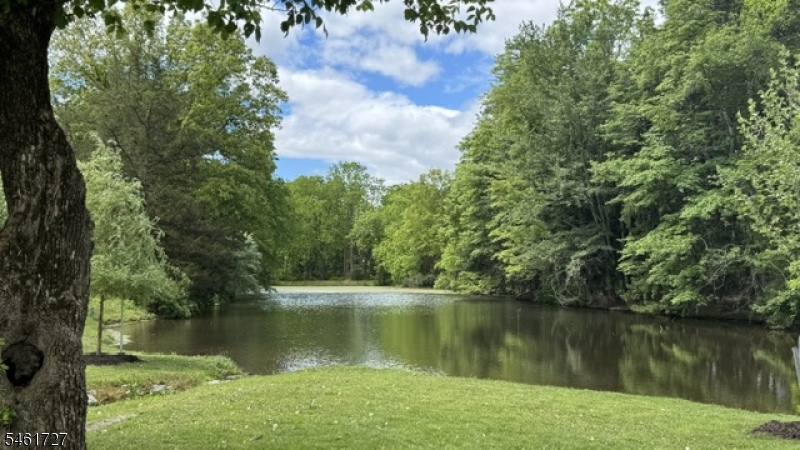 12 Craig Road Readington NJ 08853