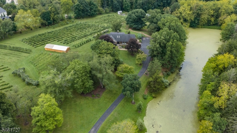 12 Craig Road Readington NJ 08853