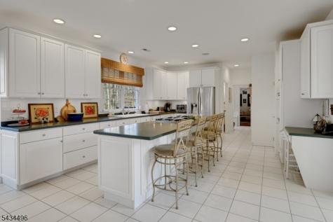 15 Skytop Drive Denville NJ 07834