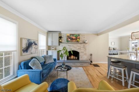 52 Country Squire Way Branchburg NJ 08876