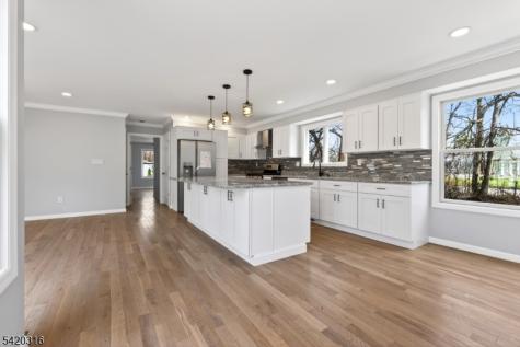 237 Jacksonville Drive Parsippany-troy Hills NJ 07054