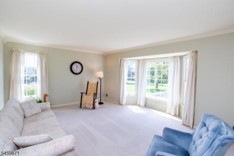 25 Farmhouse Road Alexandria NJ 08848