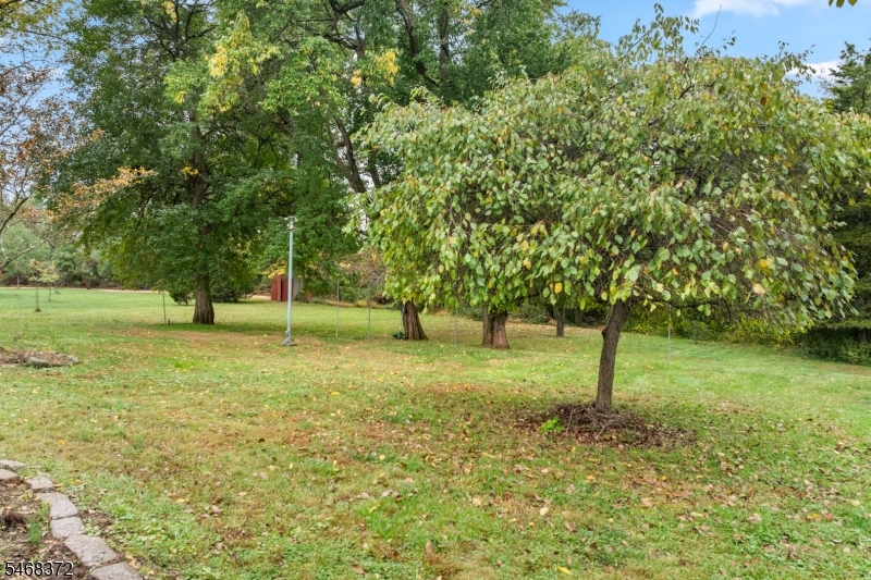 9 Fieldhedge Drive Hillsborough NJ 08844
