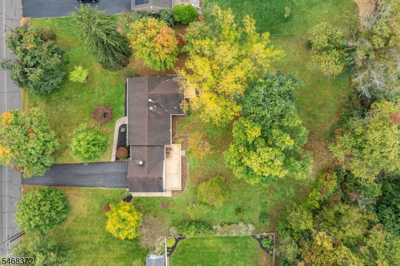 9 Fieldhedge Drive Hillsborough NJ 08844