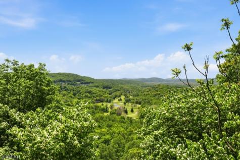 66 Canada Goose Drive Allamuchy NJ 07840