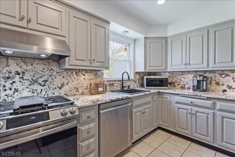 16 Brook Drive North Morris Plains NJ 07950