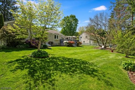 16 Brook Drive North Morris Plains NJ 07950