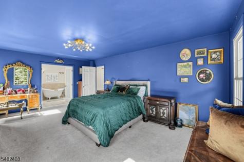 5 Buckingham Court Clinton NJ 08801