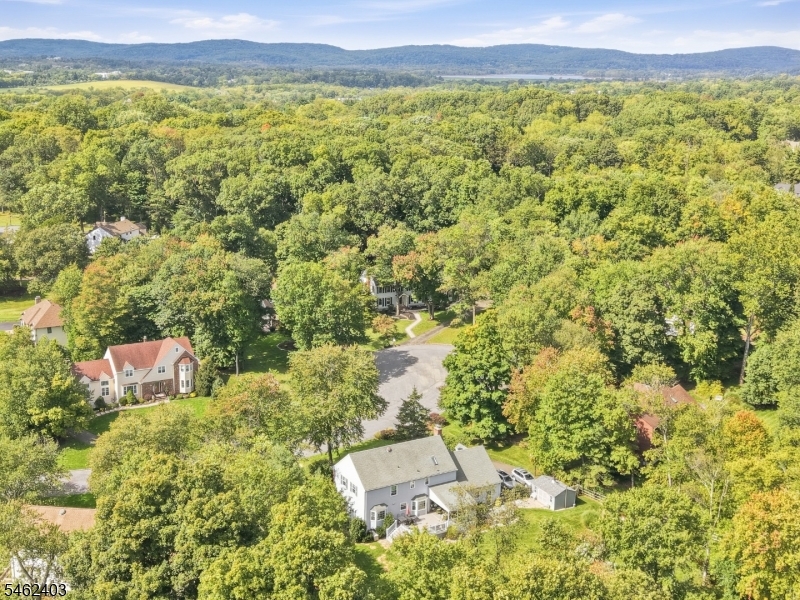 5 Buckingham Court Clinton NJ 08801