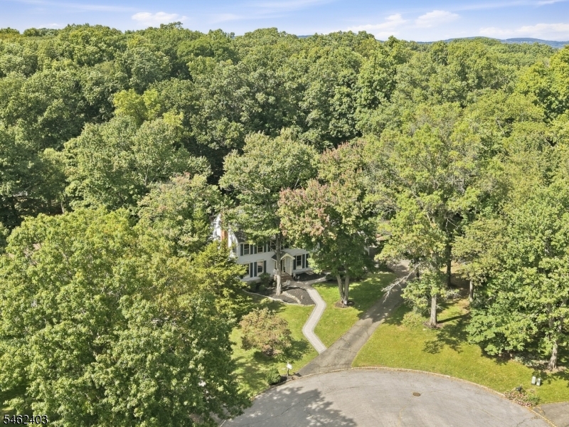 5 Buckingham Court Clinton NJ 08801